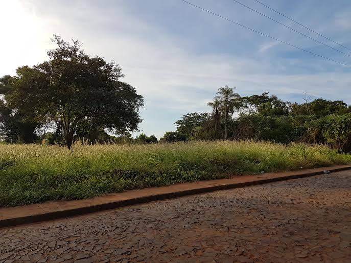 VENDO  LOTE  EN ESQUINA SOBRE ASFALTO — 2/5