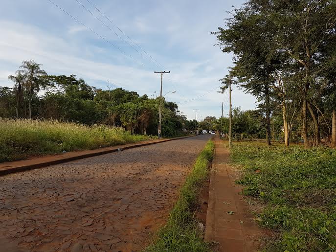 VENDO  LOTE  EN ESQUINA SOBRE ASFALTO — 3/5